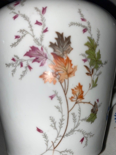 Tetera Antigua Pozzani Jundiai Leer 0