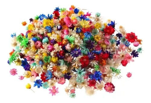 Flores Secas Para Velas, Resinas, Souvenirs Etc. X 50unid. 0