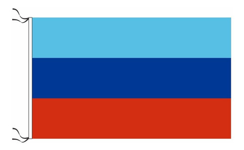 Bandera De República Popular De Lugansk 90 X 150cm 0
