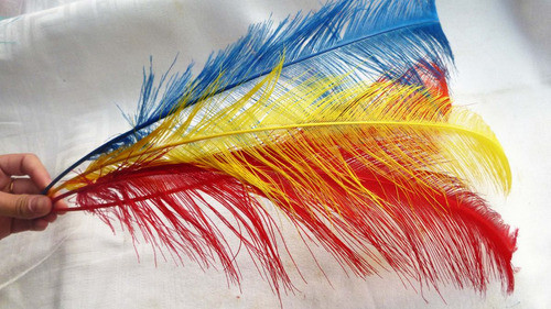 Plumas Avestruz Color Chicas 0