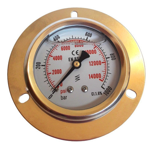 Manometro Brida, Diamtro 63mm 0-1000 Bar Trasera 0