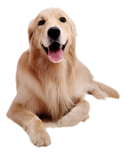 Impermeable Para Mascotas Perro Asiento Hamaca Cubierta Coch 0