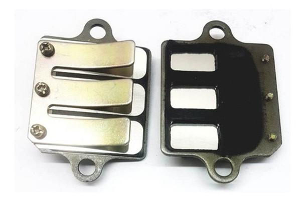 Flaper Suzuki Ax 100 En Moto 46 0