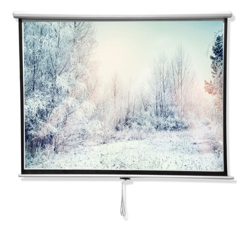 Pantalla Proyector 100 Pulgadas Blanco Mate Oem Backup 0