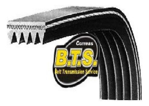 Correa Poly V 4pj - 1118  Nacional Bts 0