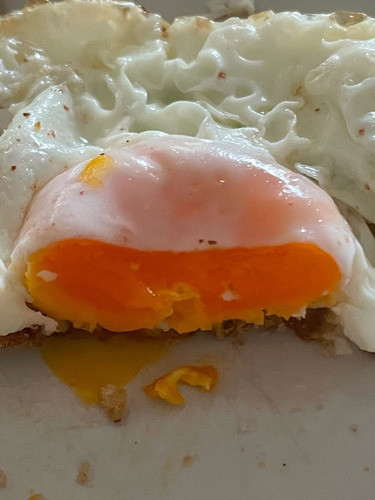 Dos Maples Huevos De Campo Extra Grandes. Primera Calidad 0