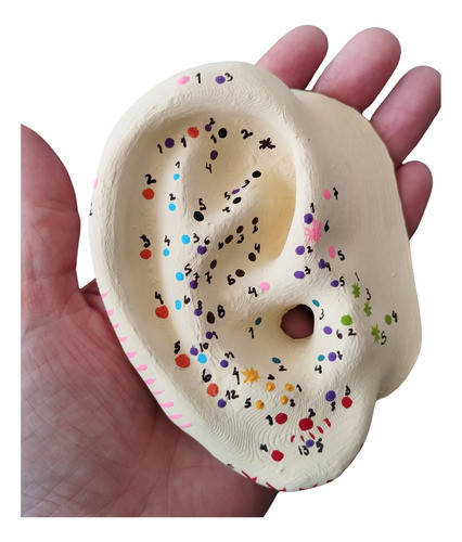 Orejas (pabellón) Con Puntos Para Auriculoterapia (2) 0