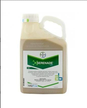 Serenade Aso Bayer 0