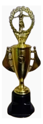 Copa Plastica 25 Cm Altura. Trofeoshm 0