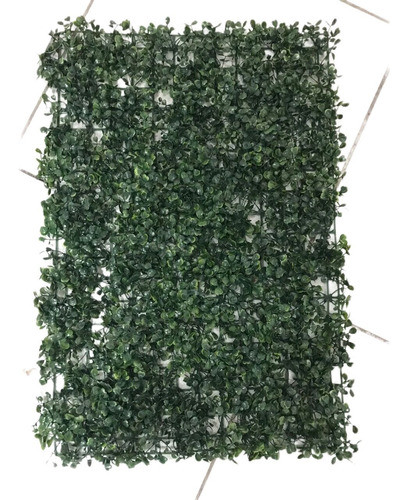 Placa De Grama Buchinho Artificial 60x40cm Grande Muro Ingle 0