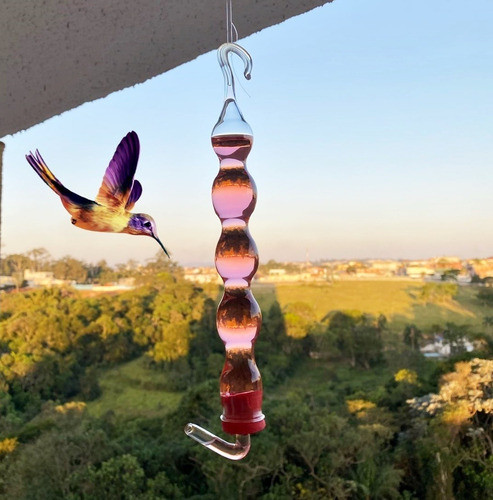 Bebedouro De Vidro Fino Luxo Para Beija Flor E Pássaros + B 0