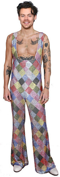 Gigantografia Corporea Harry Styles Grammy 2023 0