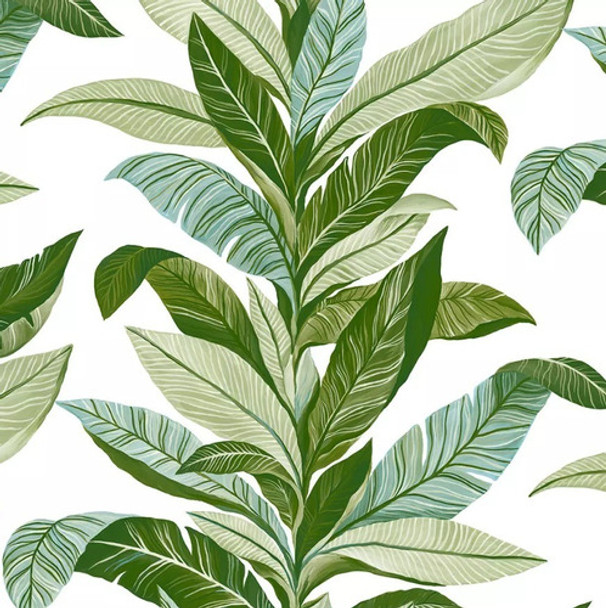 Empapelado Vinilizado 5603 Viva La Casa Plantas Verde 0