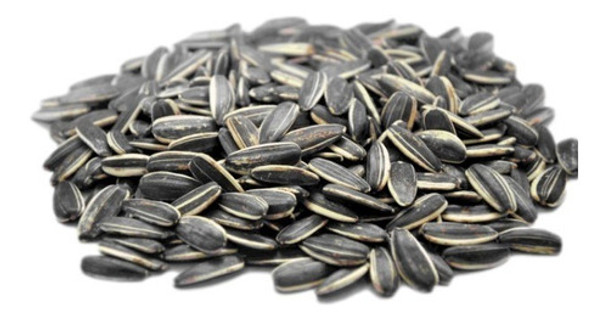 Semillas De Girasol Confitero X 5kg. Caba Mercadoenvios 0