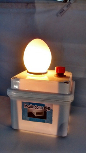 Ovoscopio Luz Led 0