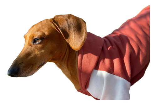 Canguro Talle 2 Perro Salchicha. Talles 1 Al 4 0