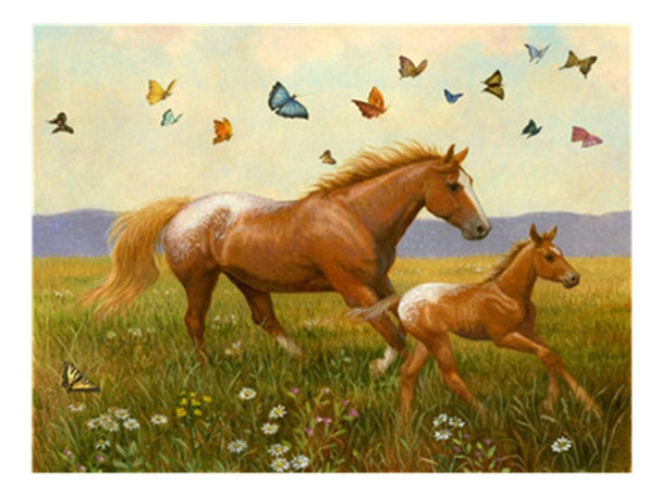 Kit De Pintura Diamantes 50x40 Caballo De La Pradera 0