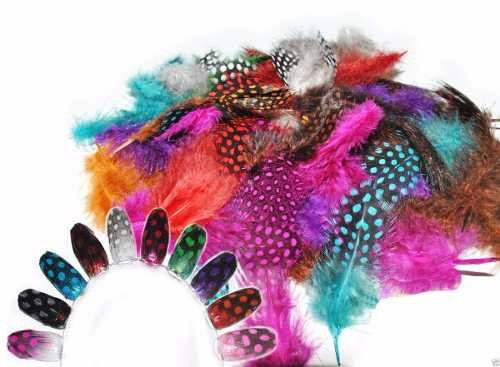 Plumas Colores De Guinea X Paquetes Surtidas 0