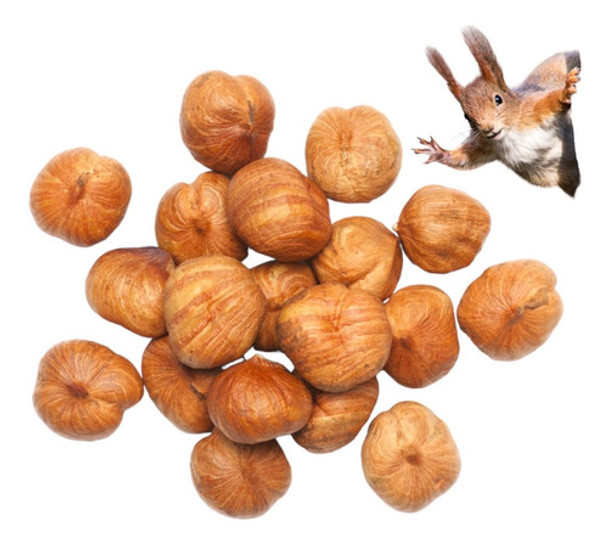 Avellanas Peladas Gigantes Enteras Por 800 Grs | Premium | 0