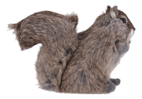 Simulação De Esquilo Artificial: Animais, Modelo, Jardim De 0