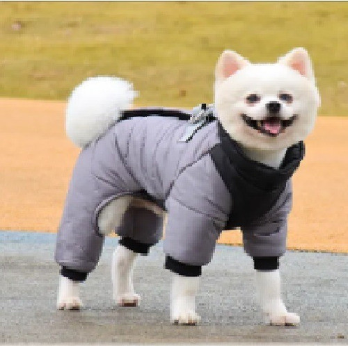 Roupa Impermeável Para Cachorro, Roupa De Inverno Ou Chuva 0