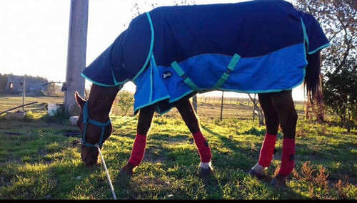 Mantas Rancheras Para Equinos, Caballos Spc, Raid Enduro. 0