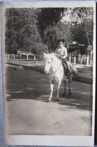 Foto De Niño A Caballo En Parque 0