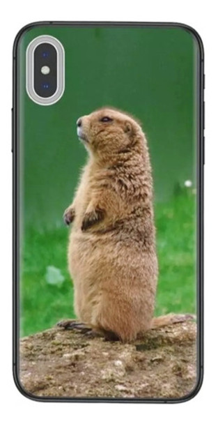 Samsung Galaxy A 02  Funda (san José) 0