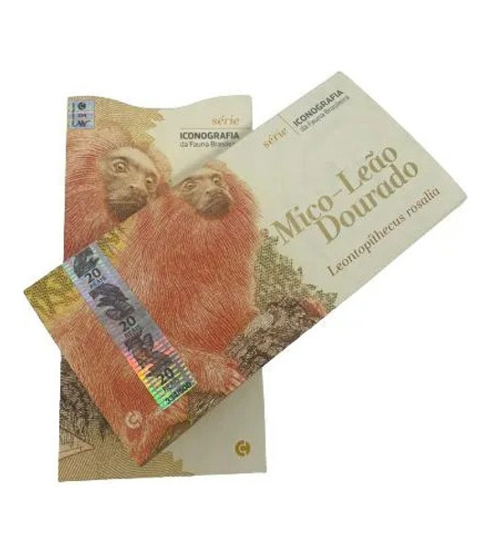 Folder Iconografia Da Fauna Brasileira Mico Leão-lacrado 0 Folder Iconografia Da Fauna Brasileira Mico Leão-lacrado 0
