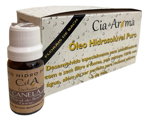 Kit 10 Óleo Hidrossolúvel Canela Puro Umidificadores 10ml 0