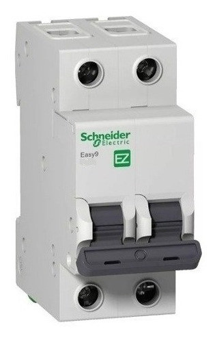 Llave Térmica Schneider Bipolar 2x32 Amp 0