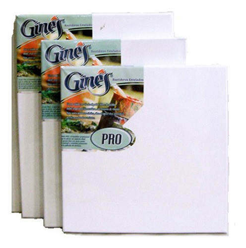 Bastidor Gines Pro T520 40x40cm 0