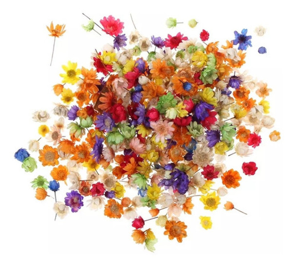 Flores Secas Artificiales X200 Unidades Para Artesanías 0