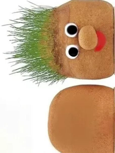 Pack 3 Cabezas De Pasto Para Decorar Diy 0