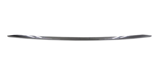Moldura Inferior Paragolpe Delantero 0