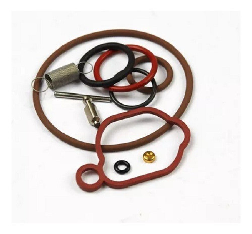 Kit Carburador Briggs&stratton 590589 0