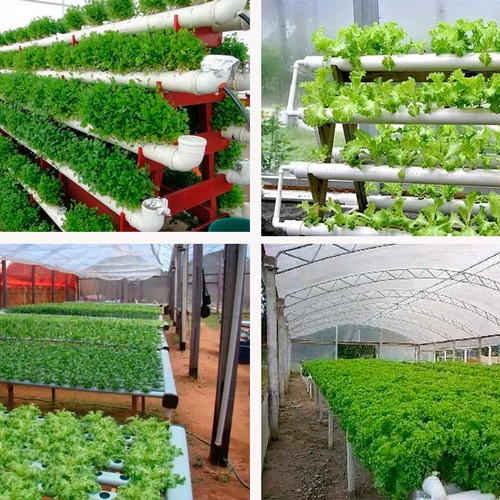 Curso E Projeto Detalhado Horta Hidropônica 0