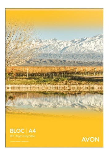 Block Perforado Avon A4 Rayados/cuadric X 80 Hj A Eleccion 0