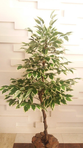 Planta Artificial Árvore Ficus Variegata 1,30mt Altura 0