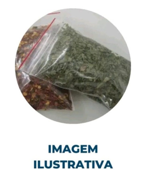 Saco Saquinho Hermético 18x23 C/ 10un Plástico C/ Fecho Zip 0 Saco Saquinho Hermético 18x23 C/ 10un Plástico C/ Fecho Zip 0
