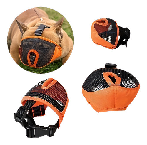 Código De S De Trompeta Naranja Luto Cubo Fresco Bell Perro 0