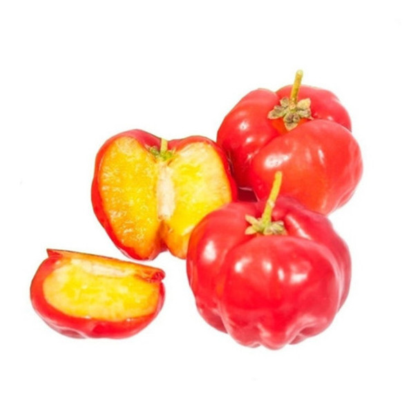 Frete Grátis Acerola Gigante Para Vasos Sementes Frutas 0
