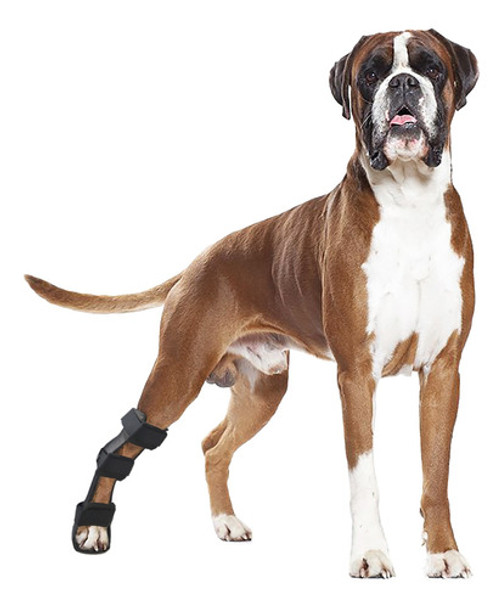 Imo 1009-1 Tala Ortopédica Cão E Gato Pata Traseira - Tam: P 0