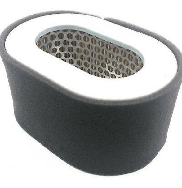 Filtro De Aire Diesel Motor Generador 10hp 186f 0