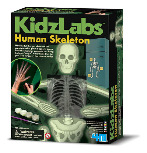 Kit Juego Ciencia Esqueleto Humano Moldes Rayos X 4m Cresko 0