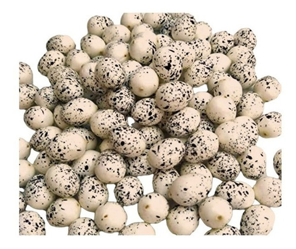 Huevo Artificial X48 Codorniz Paloma Loro Aves 0