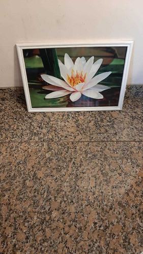 Hermoso Cuadro, Con Marco Resistente, Pintado A Mano 0