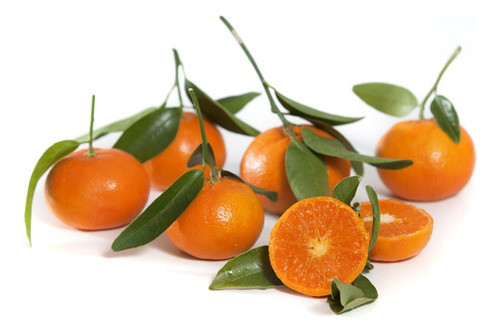 Mandarina Afourer - Fruta Premium - Sin Semillas 0