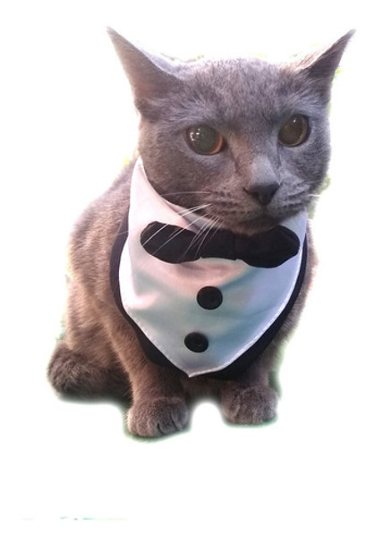 Bandana Pañuelo Collar Disfraz Frac Perro Y Gatos Disfraz 0