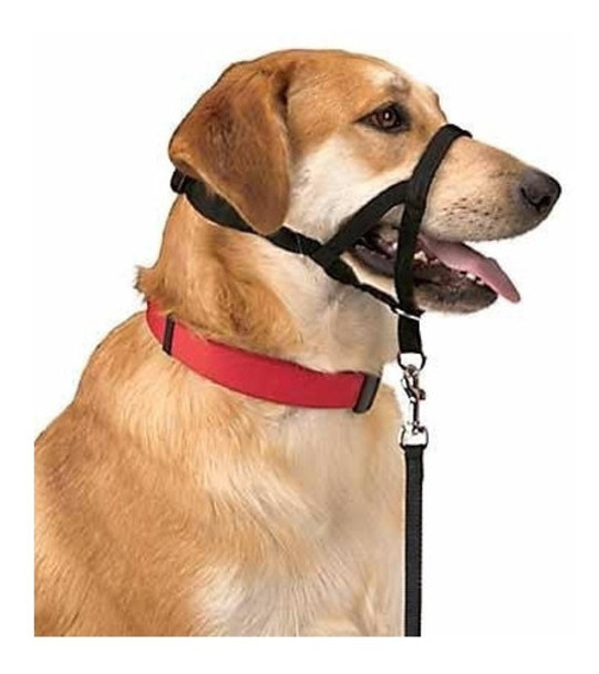 Bozal De Adiestramiento Anti-tirones Perros Halti Grandres 0